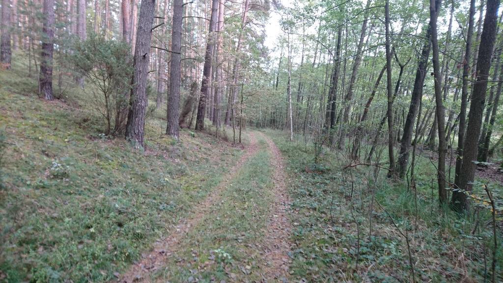 Bed and Breakfast Fitnessfun Krzyz Wielkopolski Экстерьер фото