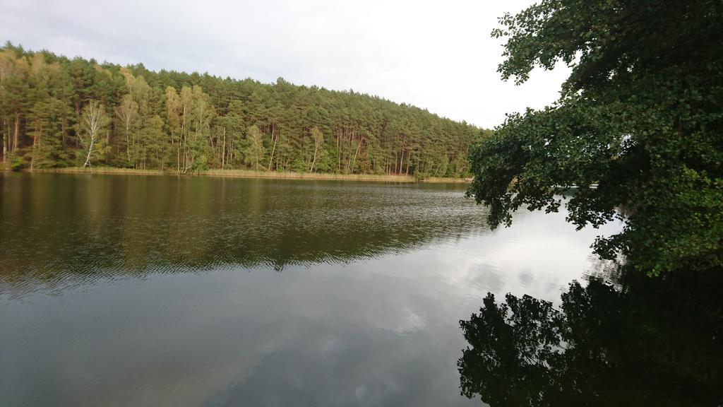Bed and Breakfast Fitnessfun Krzyz Wielkopolski Экстерьер фото