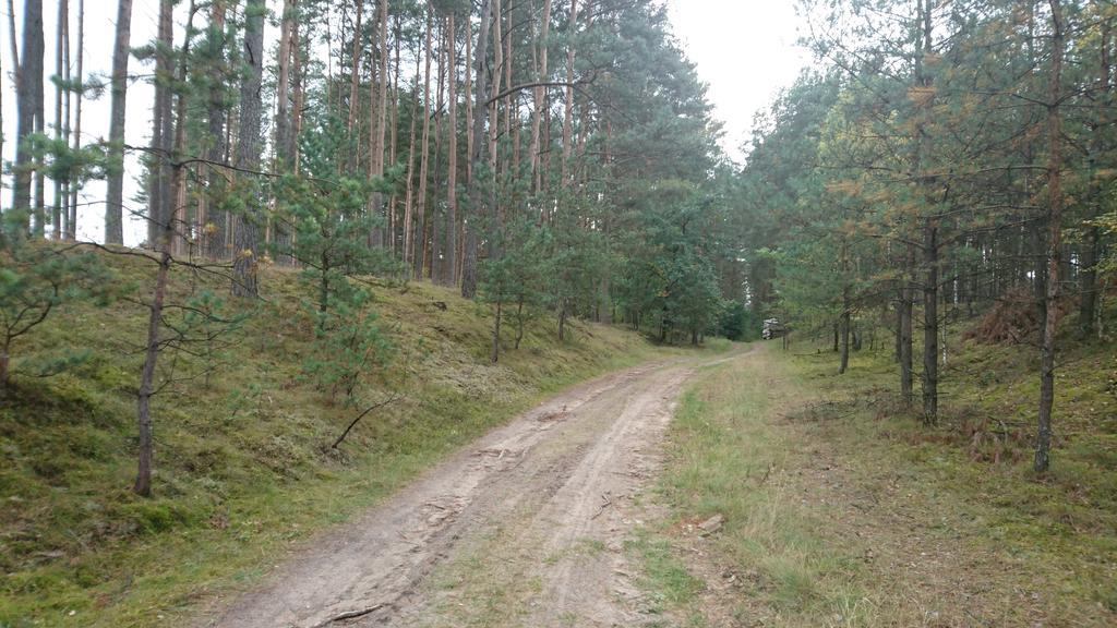 Bed and Breakfast Fitnessfun Krzyz Wielkopolski Экстерьер фото